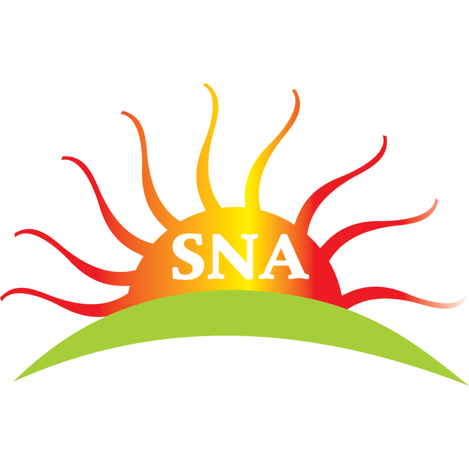 S. Narayan Associates